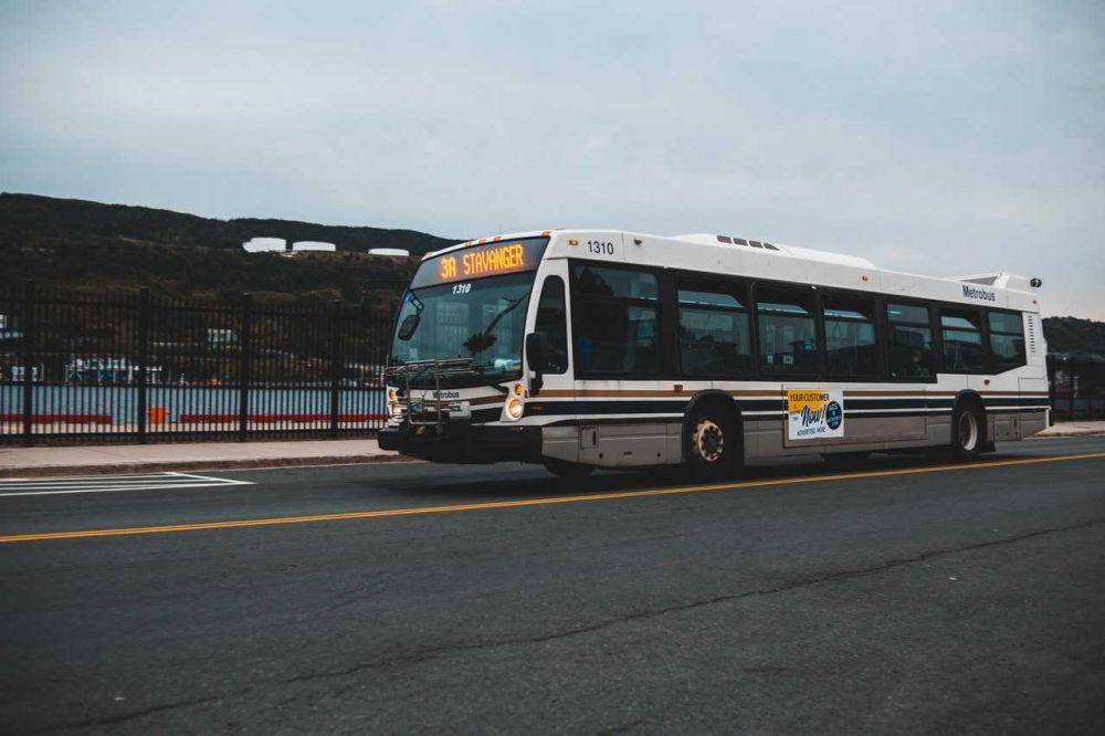 Bus (pexels.com/introspectivedsgn)
