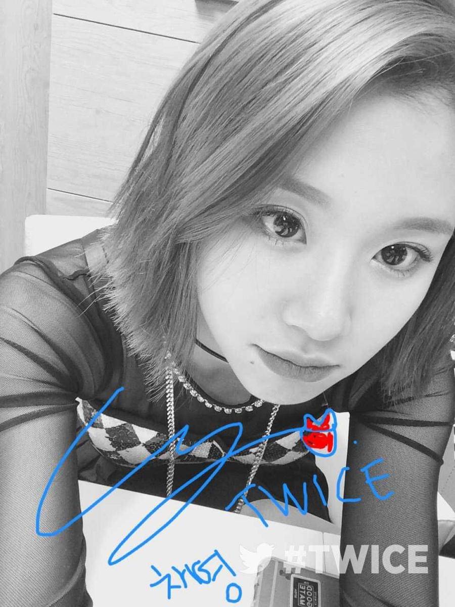 Chaeyoung TWICE (twitter.com/JYPETWICE)