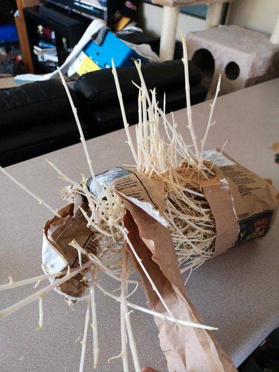 momen kurang teliti (reddit.com/toasty-toes via diply.com)