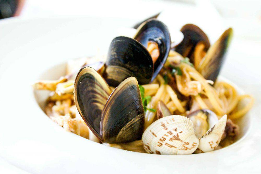 ilustrasi kerang (pexels.com/Alex Favali)