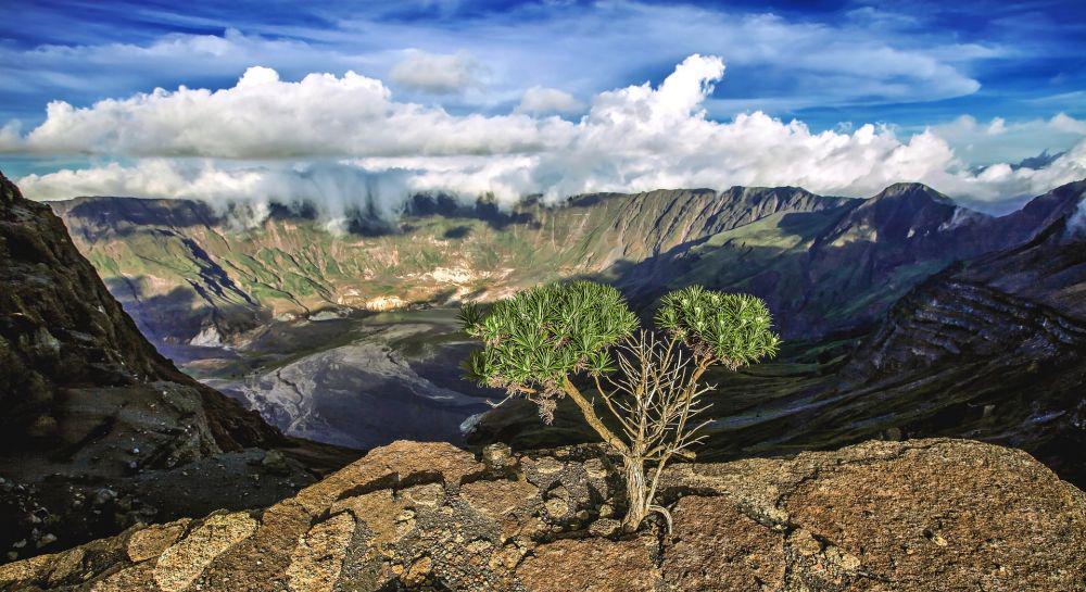 4 Gunung Indonesia yang Letusannya Berdampak ke Seluruh Dunia