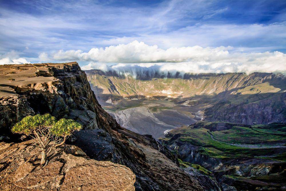 Ilustrasi gunung berapi (Pixabay.com/kanenori)
