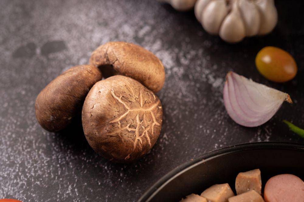 ilustrasi jamur shiitake. (freepik.com/jcomp)