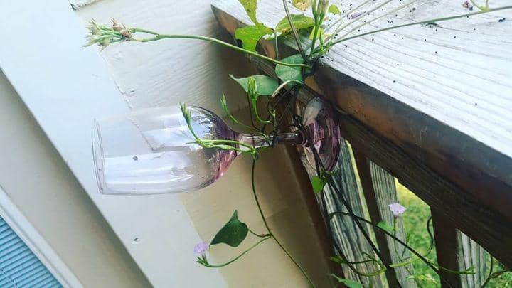 momen kurang teliti (reddit.com/moosebubble via diply.com)