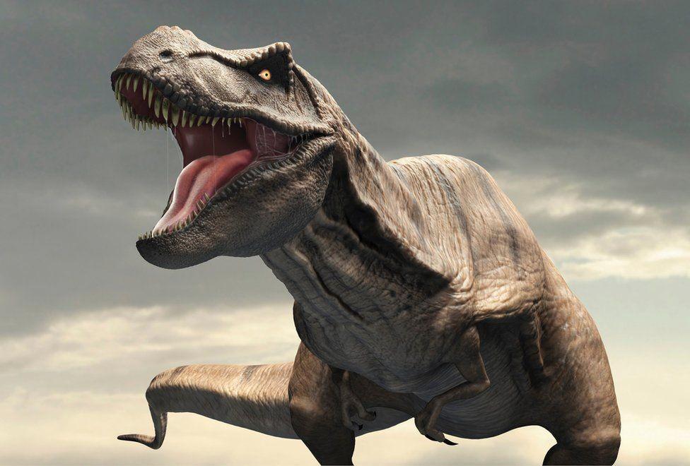 [QUIZ] Jika Reinkarnasi Nyata, Kamu Jadi Dinosaurus Apa di Masa Lalu? Penasaran Gak?