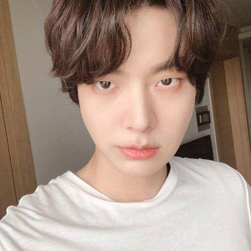 Ahn Jae Hyun (naver.com)