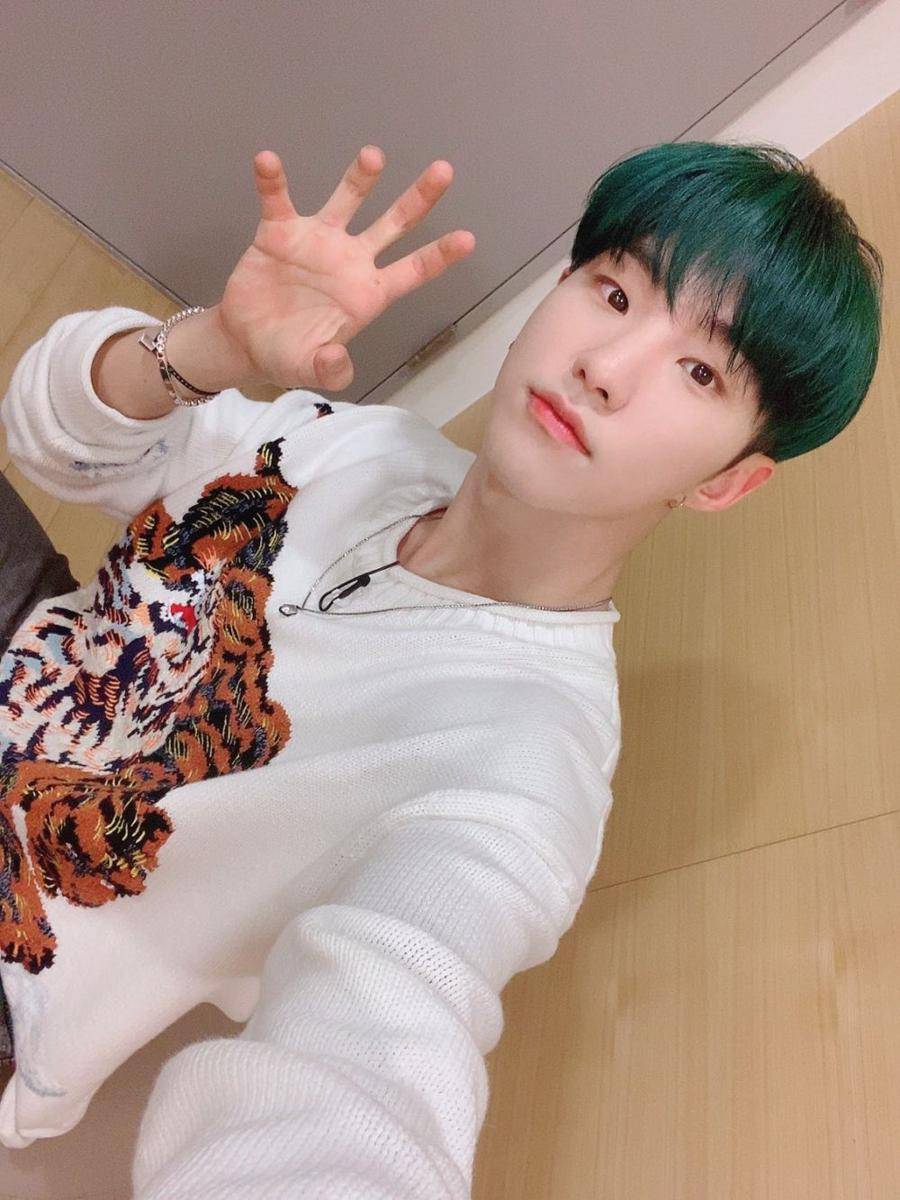 Hoshi SEVENTEEN (twitter.com/pledis_17)