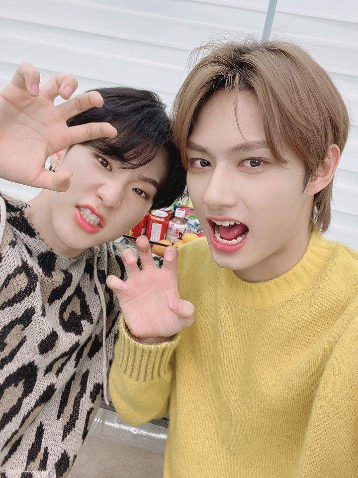 Hoshi dan Jun SEVENTEEN (twitter.com/pledis_17)