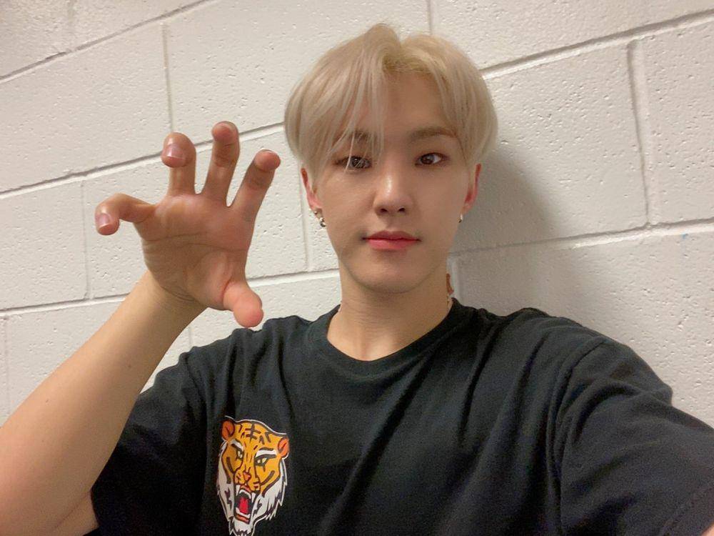 Hoshi SEVENTEEN (twitter.com/pledis_17)