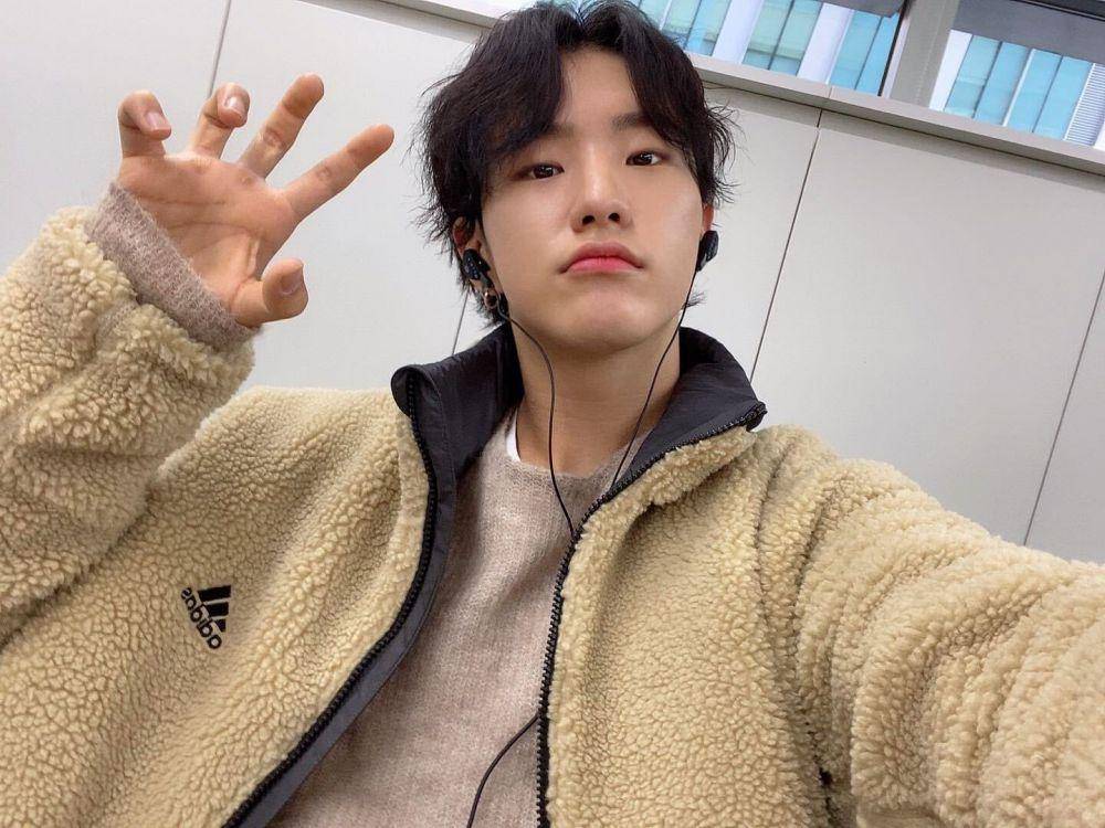 Hoshi SEVENTEEN (twitter.com/pledis_17)