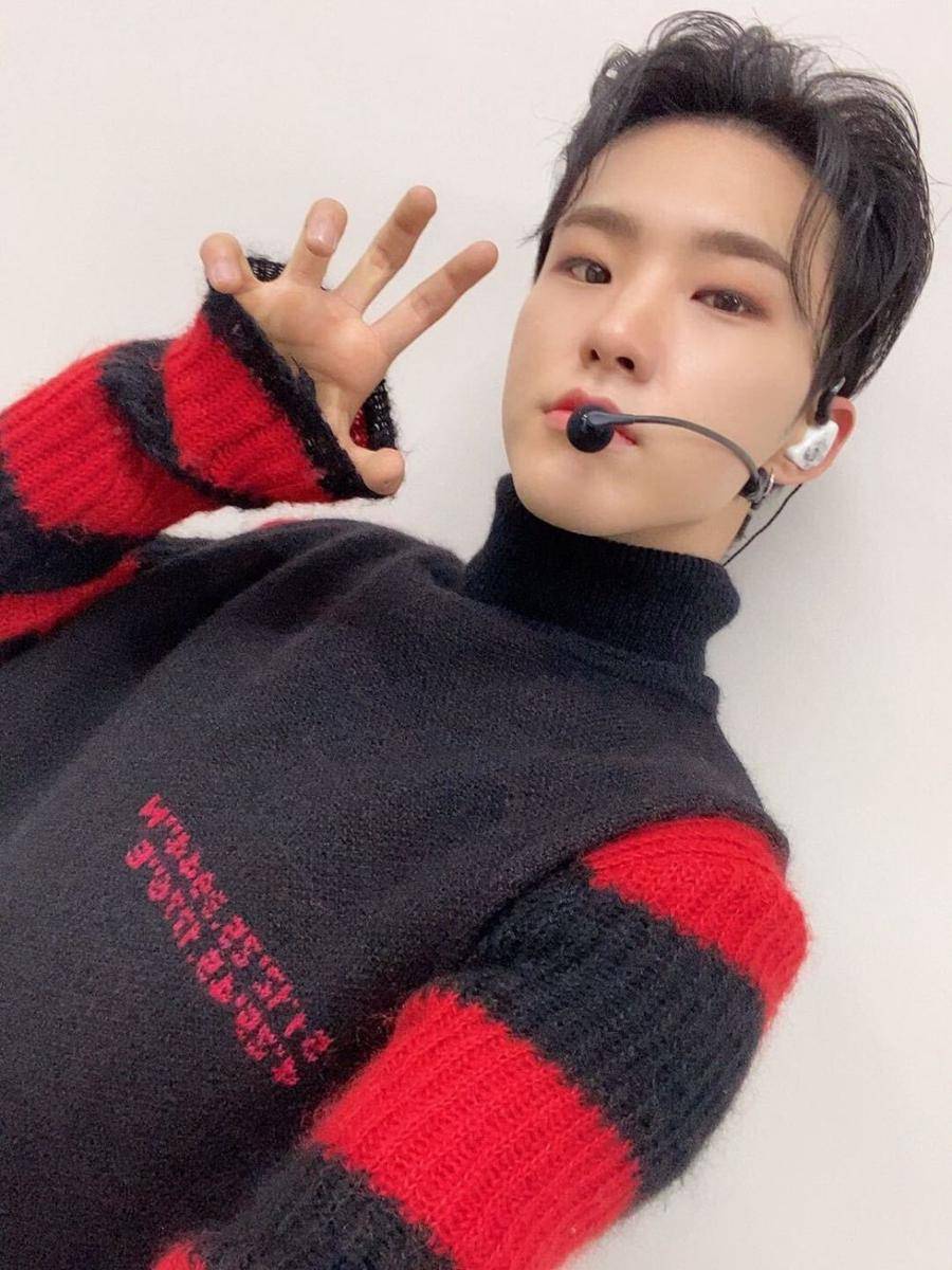 Hoshi SEVENTEEN (twitter.com/pledis_17)