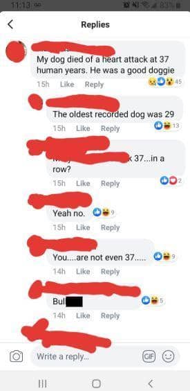 ketahuan bohong di medsos (reddit.com/deadzenith via diply.com)