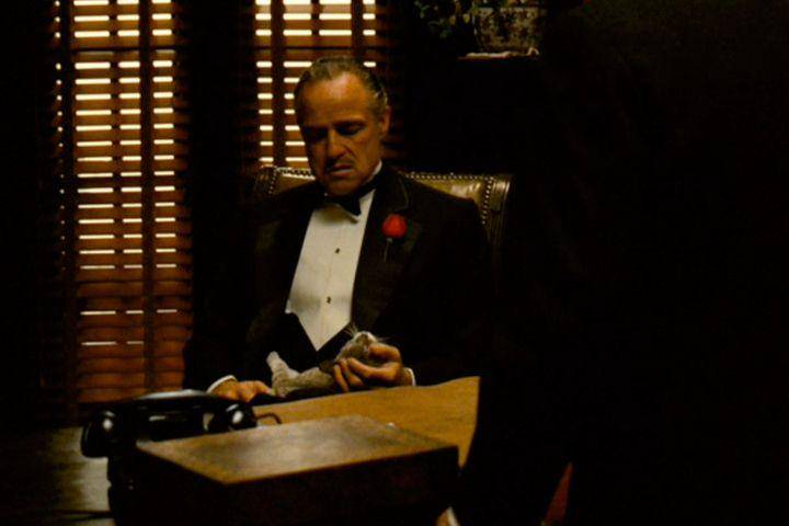 potret adegan Marlon Brando sedang memegang kucing (entertainment.time.com)