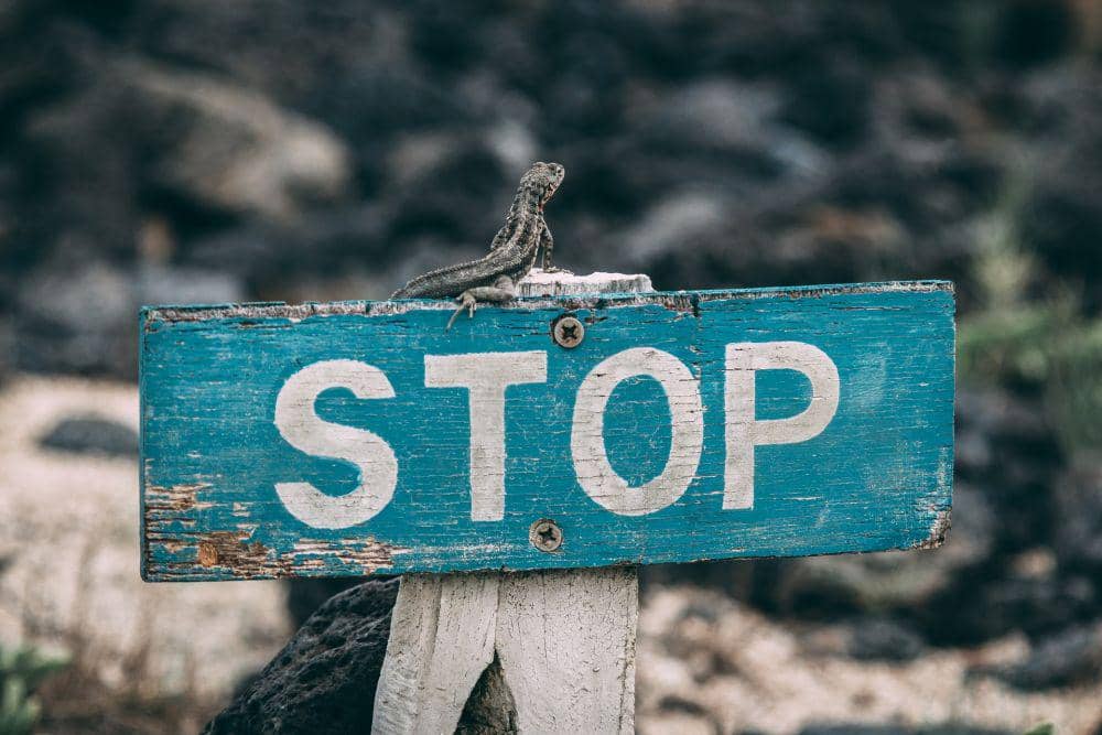 Unsplash