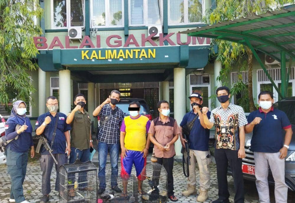 Perdagangan Burung Ilegal Lintas Pulau  Dibongkar di Kaltim
