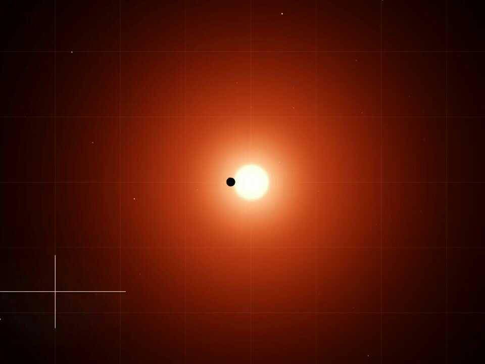 Ilustrasi bintang katai merah TOI 700 (dok. NASA)