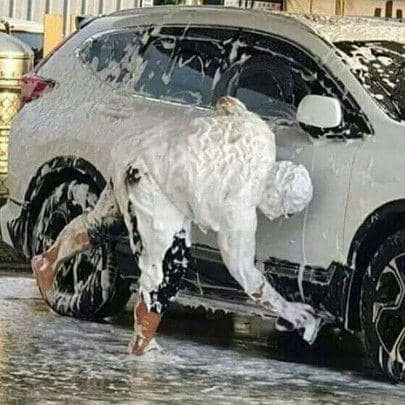 cuci mobil kocak (1cak.com/alfikrisaga)