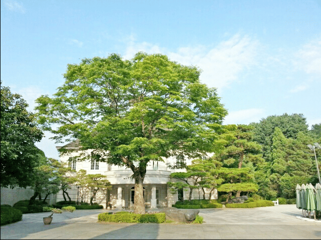 The Hill House Yangpyeong (thehillhouse.co.kr)