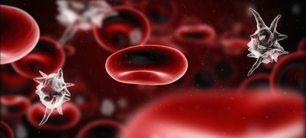 7 Gejala Sepsis, Keracunan Darah akibat Infeksi yang Bisa Fatal