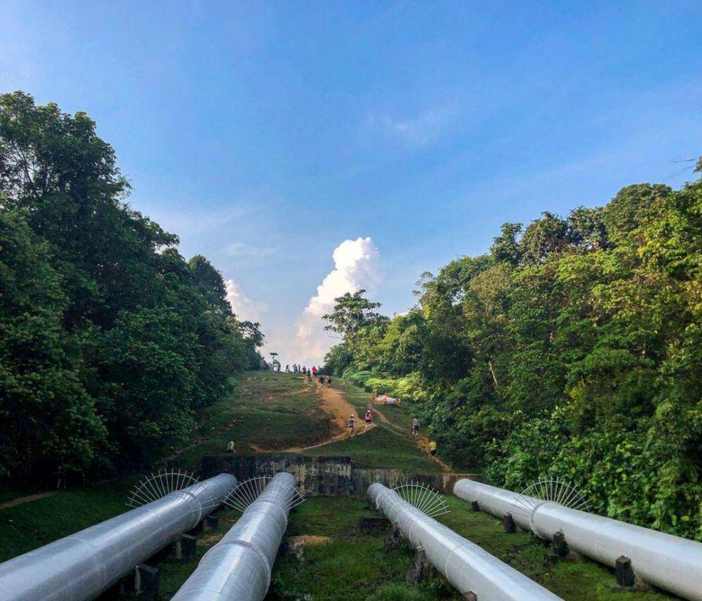 Bukit Timah Nature Reserve (Instagram.com/seng7563)