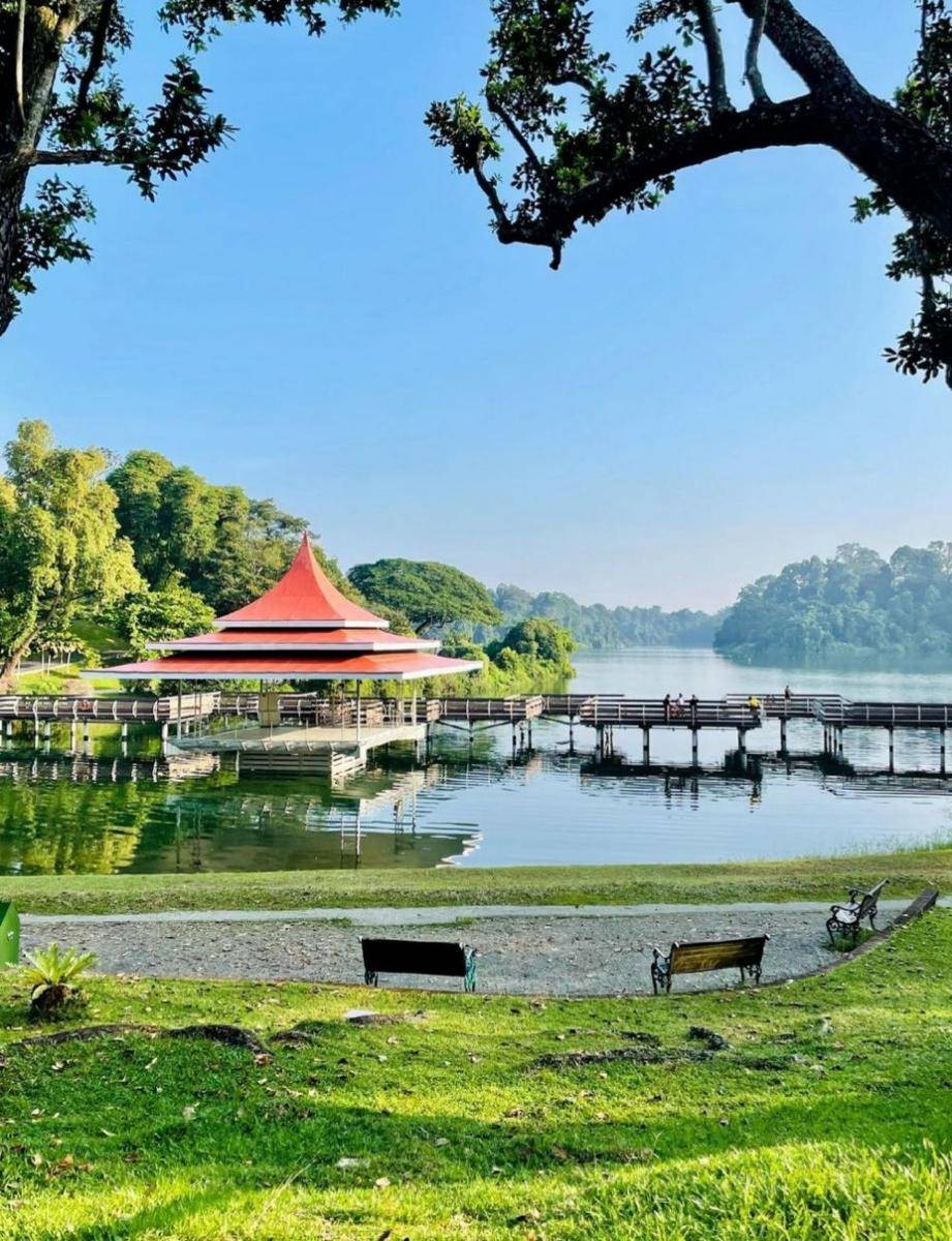 MacRitchie Reservoir (Instagram.com/missnio)