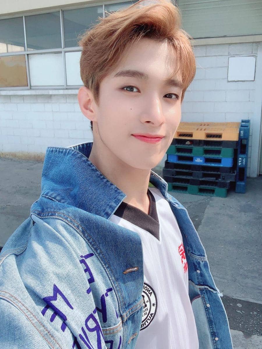 DK SEVENTEEN (twitter.com/pledis_17)