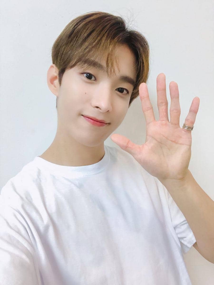 DK SEVENTEEN (twitter.com/pledis_17)