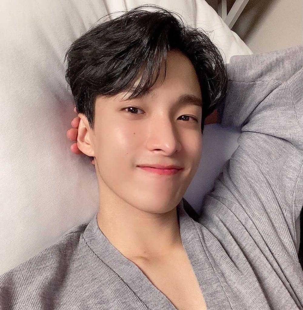 DK SEVENTEEN (twitter.com/pledis_17)