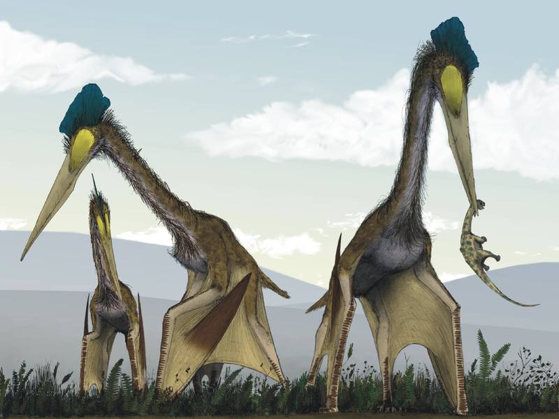 Gambaran mengenai pterosaurus di zaman purba. (smithsonianmag.com)