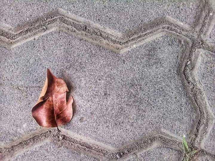 5 Trik Fotografi Sederhana yang Bisa Kalian Coba di Rumah