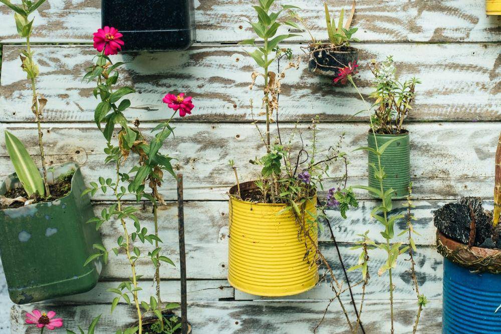 pot tanaman dari kaleng bekas (unsplash.com/Bernard Hermant)
