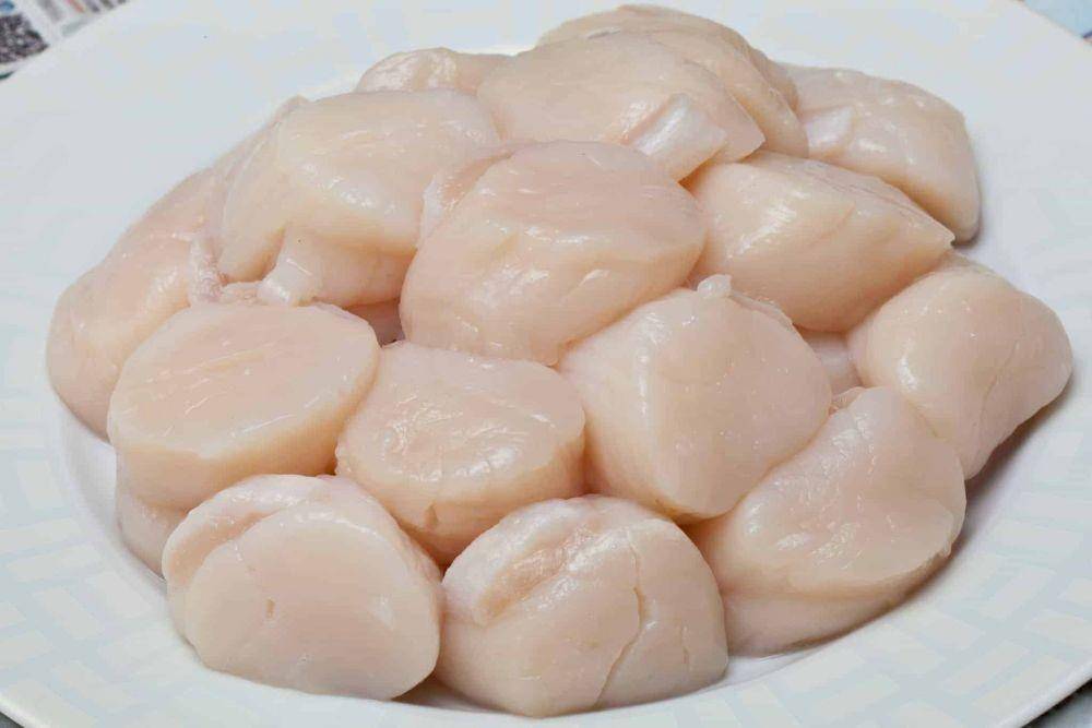 Ilustrasi scallop mentah (savoryexperiments.com)