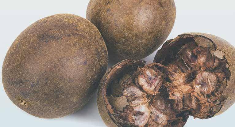 ilustrasi buah luo han guo atau monk fruit (healthline.com)
