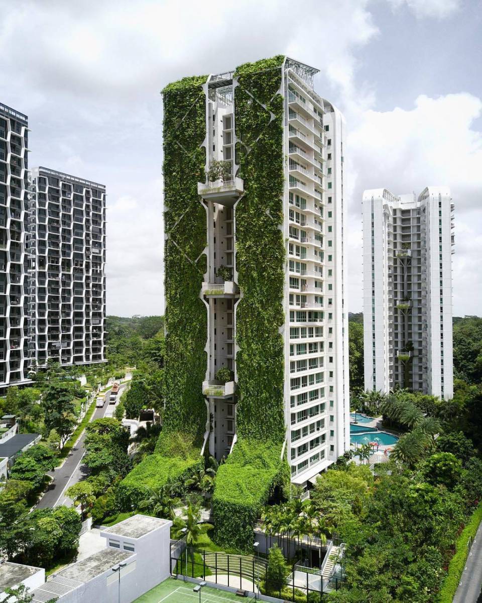Tree House dinobatkan sebagai taman vertikal terbesar di dunia. (instagram.com/cav_mike)