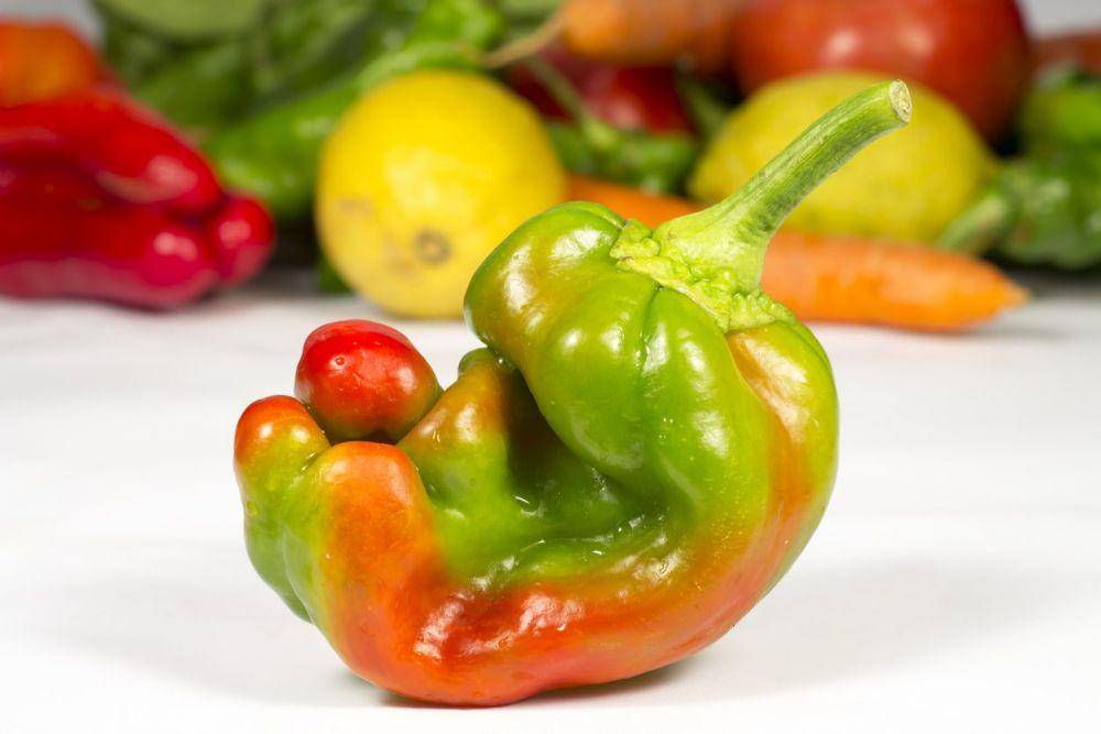Paprika denga bentuk yang tidak sempurna (gardeningknowhow.com)
