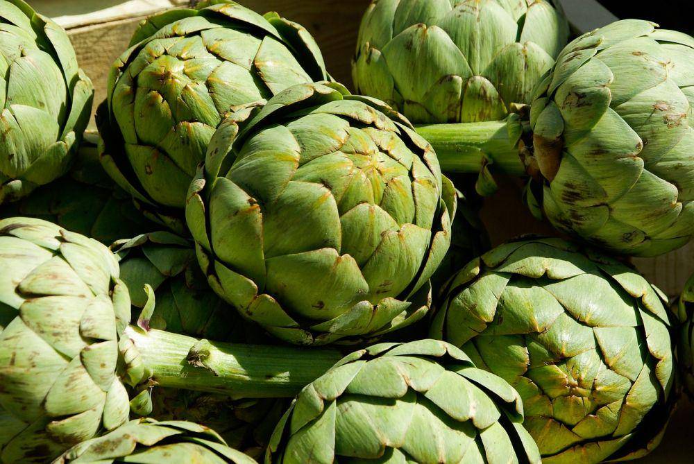 ilustrasi artichoke (pixabay.com/Jackmac34)