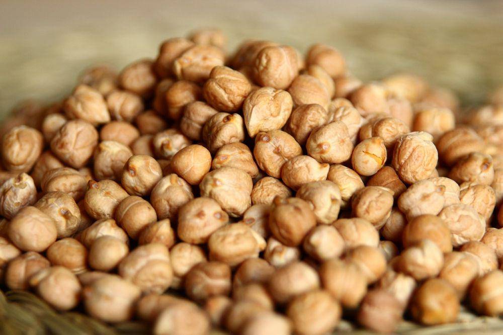 ilustrasi kacang arab (pixabay.com/alexdante)