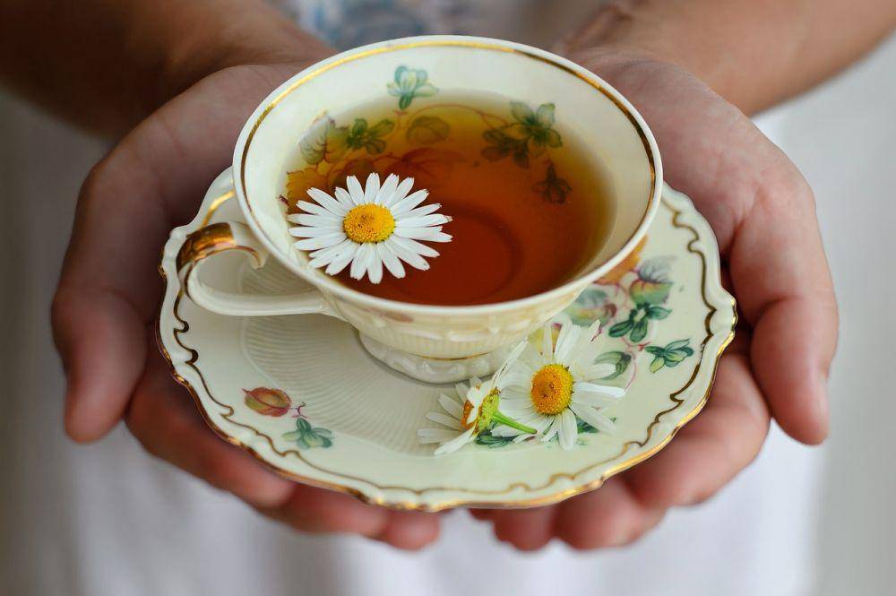 ilustrasi teh kamomil (pixabay.com/Natalie_Corot)