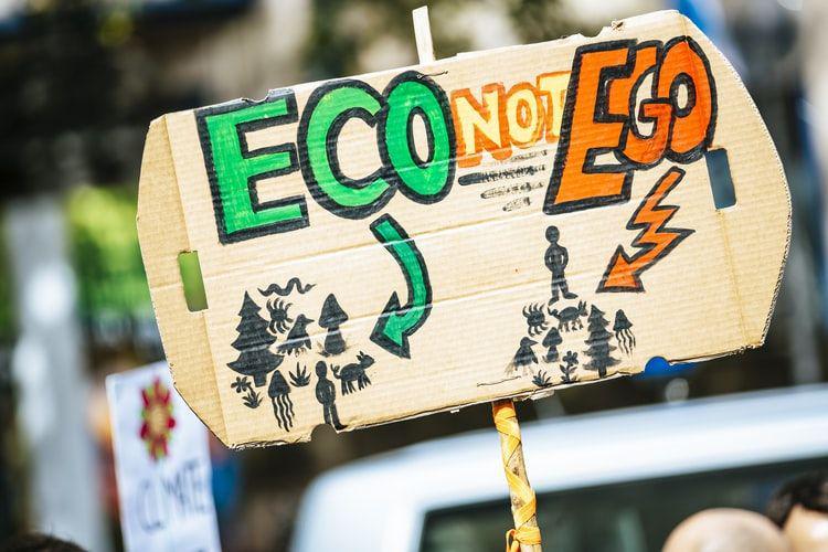 Apa Itu Green Lifestyle? Bisa Selamatkan Bumi, lho!