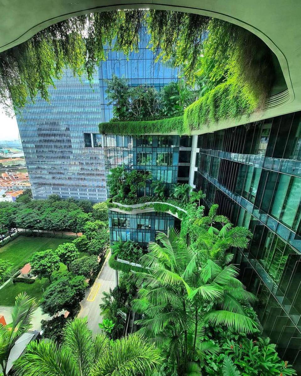 Parkroyal on Pickering (instagram.com/parkroyalpickering)