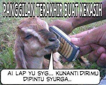 meme hari raya kurban (instagram.com/bloglucudotcom)