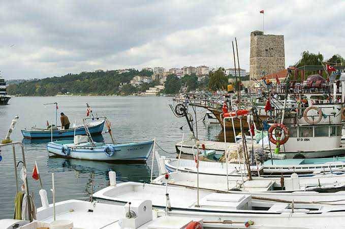 Selat Bosporus (culinarybackstreets.com)