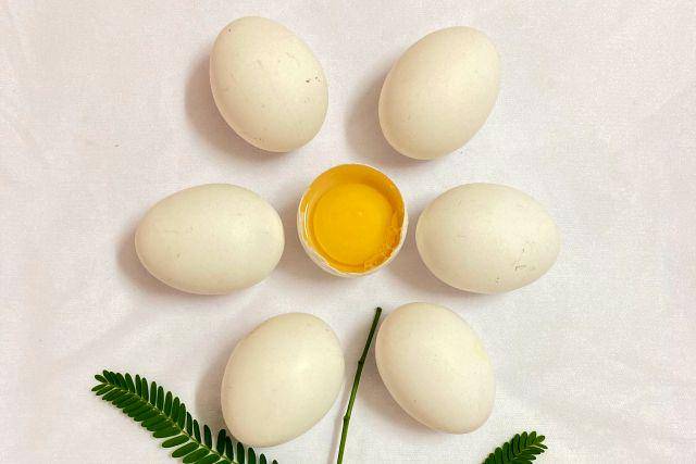 Telur putih (unsplash.com/SIVA T)