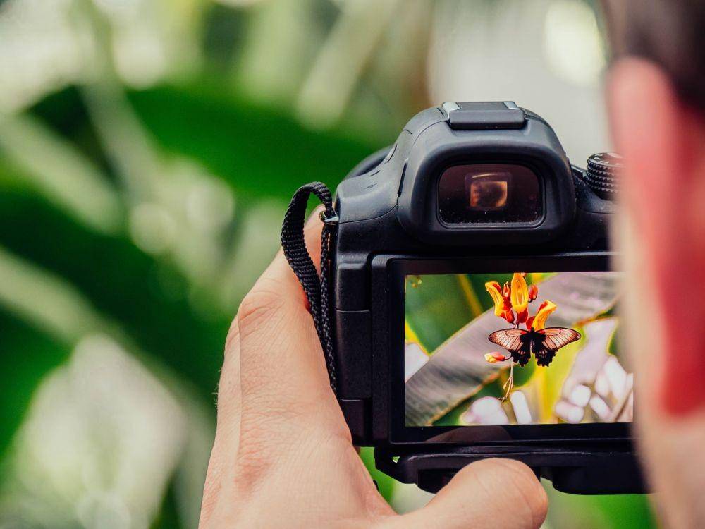 ilustrasi memotret objek (Unsplash/Jamie Street)