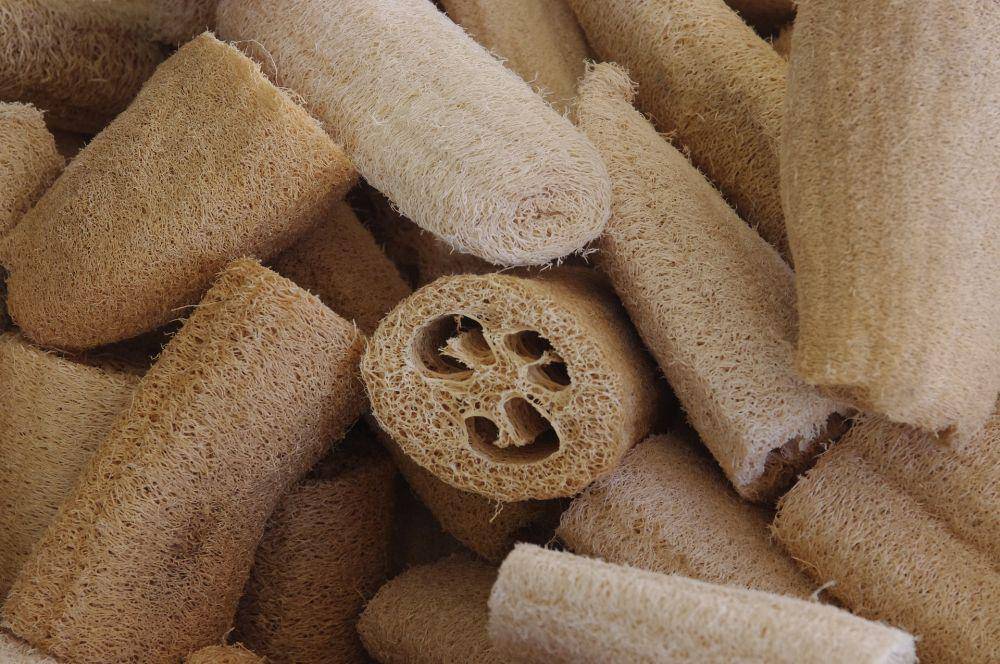loofah sebagai pengganti spons sintetis (Pixabay.com/Juhele)