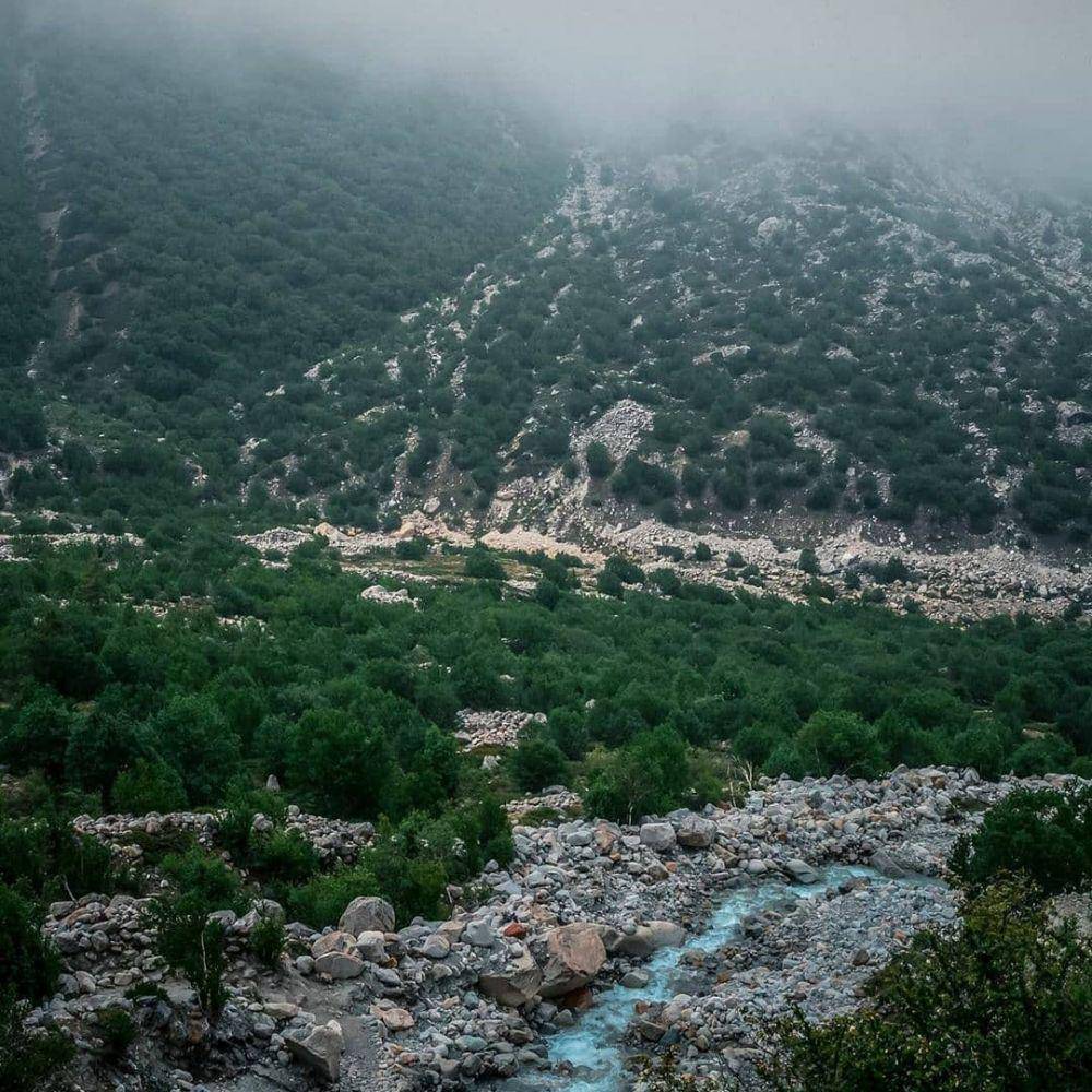 fakta Taman Nasional Gangotri (Instagram.com/uttarakhandheaven)