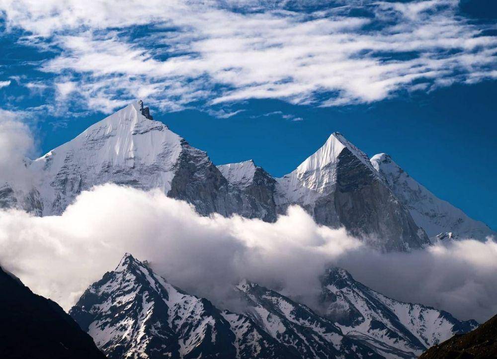 fakta Taman Nasional Gangotri (Instagram.com/naveenmacro)