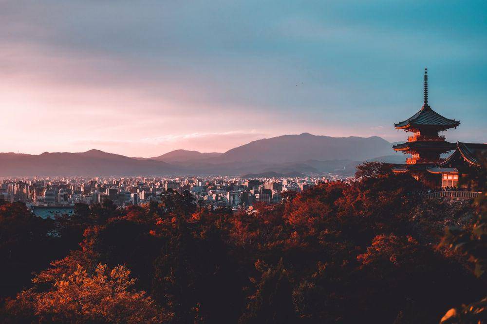 Jepang terkenal dengan disiplin dan kecerdasan tinggi. (unsplash.com/Su San Lee)
