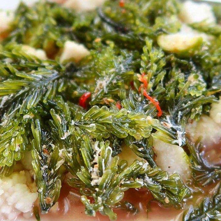 rujak bulung (instagram.com/balinese.localfood)