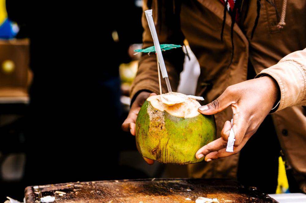 ilustrasi buah kelapa (pexels.com/Daria Shevtsova)